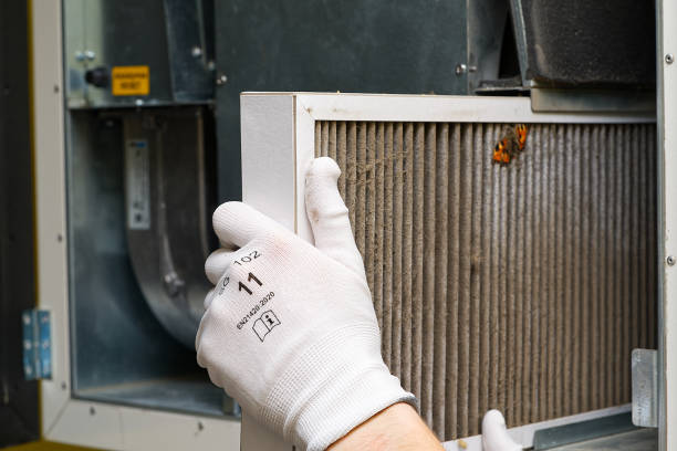 Best Emergency Air Duct Cleaning  in Durand, MI
