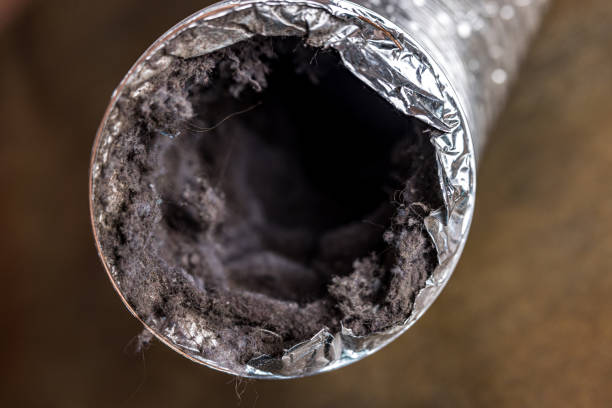 Best Dryer Vent Cleaning Services  in Durand, MI
