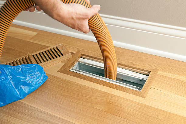 Best Residential Air Duct Cleaning  in Durand, MI