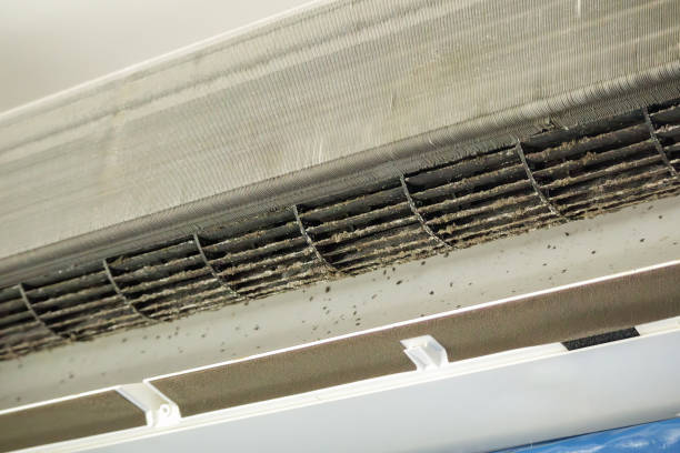 Best Affordable Air Duct Cleaning  in Durand, MI