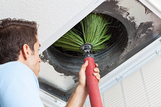 Best HVAC Air Duct Cleaning  in Durand, MI
