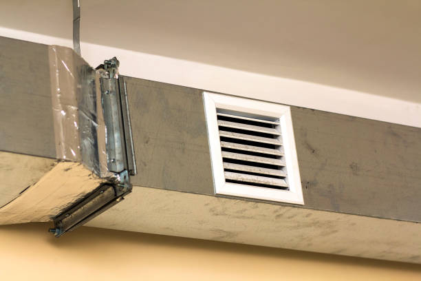 Best Home Air Vent Cleaning  in Durand, MI